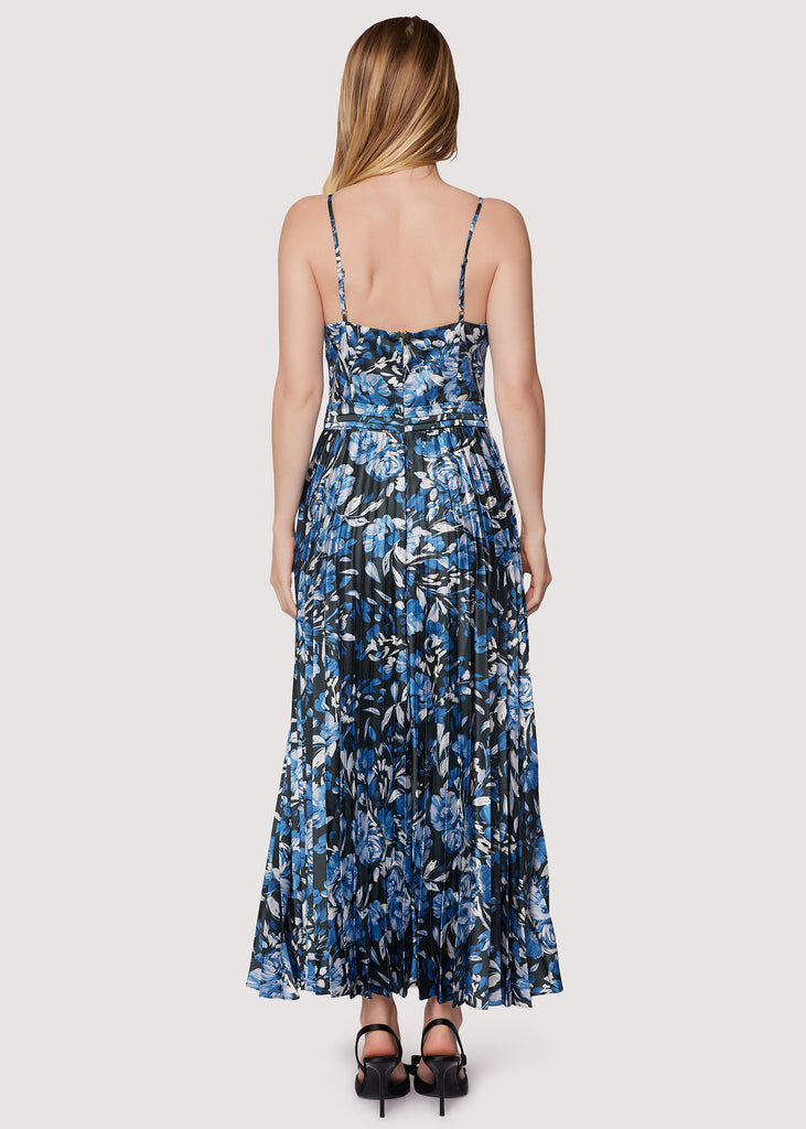 Parisian Bleu Maxi Dress